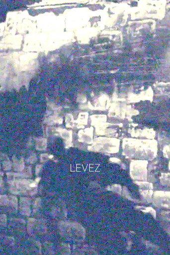 'LEVEZ' (2023) poster