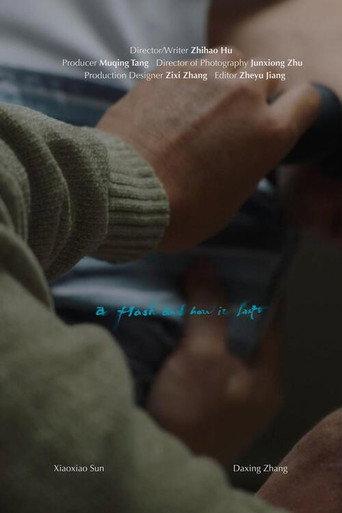 A Flash and How It Lasts (2026) poster