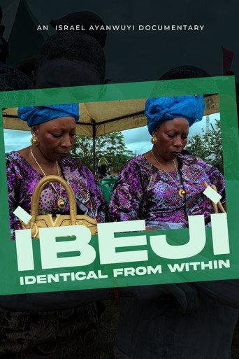 Ibeji: Identical from Within () poster