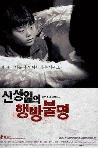 The Forgotten Child : Shin Sung-Il Is Lost (2006) poster