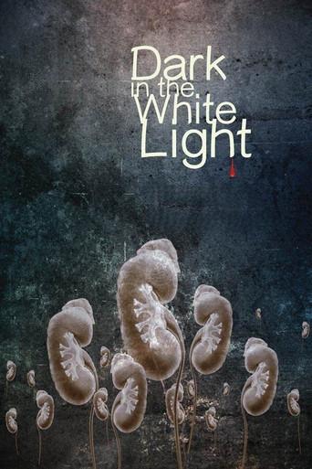 Dark in the White Light (2015) poster