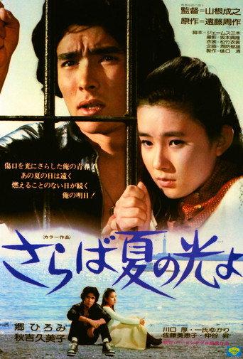 Light and Shade of Youth (1976) poster