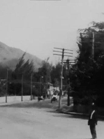 Panoramic View, Waikiki from an Electric Car, Hawaiian Islands (1906) poster