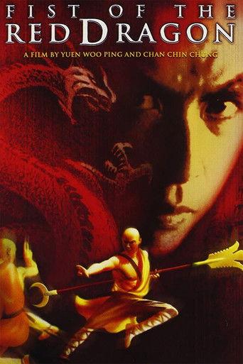 Heroes Among Heroes (1993) poster