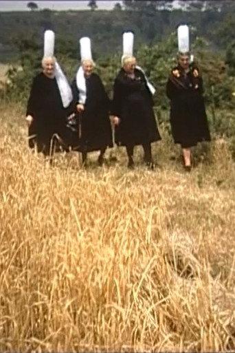 La langue bretonne (1976) poster