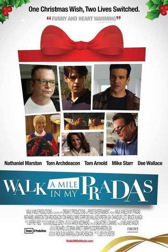 Walk a Mile in My Pradas (2011) poster
