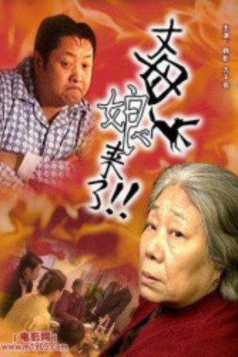 丈母娘来了 (2002) poster