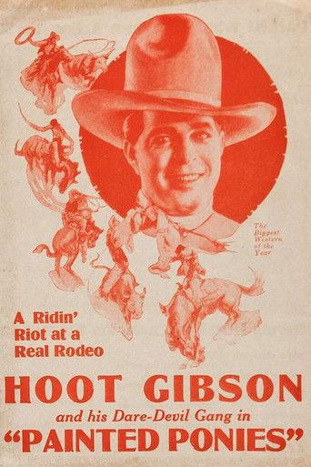 Painted Ponies (1927) poster
