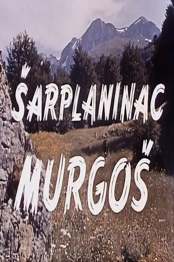 Murgosh - The Sharplaninec (1960) poster