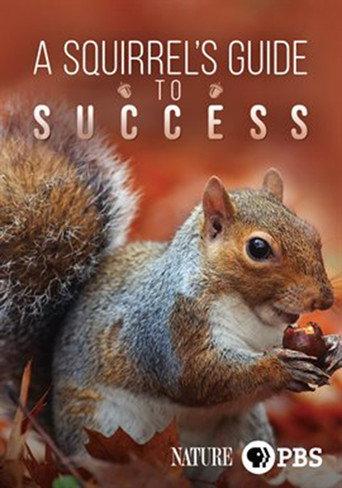 A Squirrel's Guide to Success (2018) poster