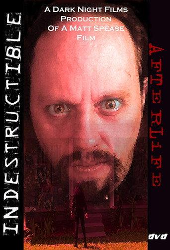 Indestructible: Afterlife (2008) poster