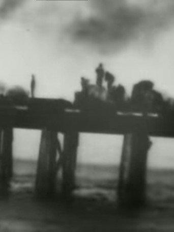 Building a Harbor at San Pedro (1901) poster