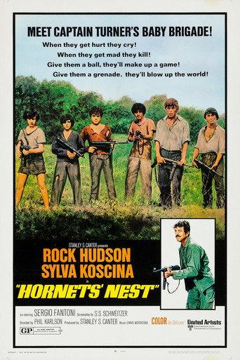 Hornets' Nest (1970) poster
