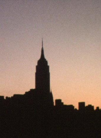New York Film Diary (1995) poster