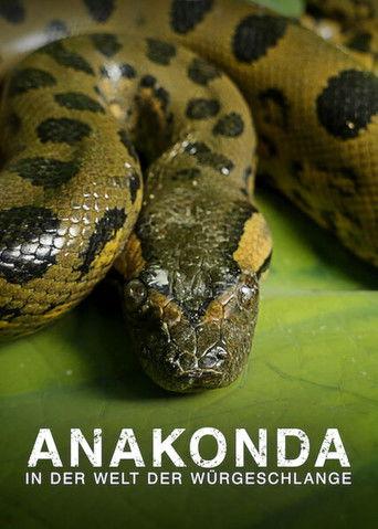 Anaconda: Silent Killer (2014) poster