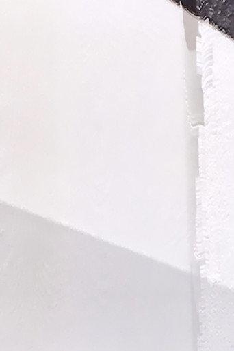 A WHITE ROOM 1 (2001) poster
