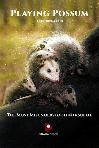 Playing Possum () poster