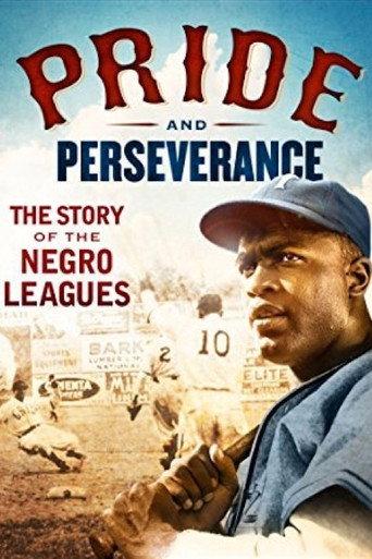 Pride and Perseverance: The Story of the Negro Leagues (2014) poster