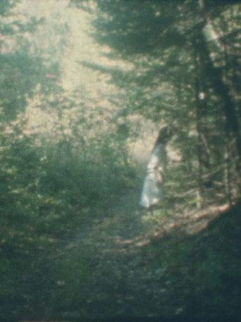 To the Forest (2026) poster