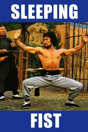 Sleeping Fist (1979) poster