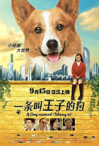 A Dog Named Wang Zi (2016) poster