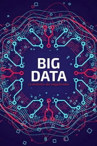 Big Data - La révolution des mégadonnées (2014) poster
