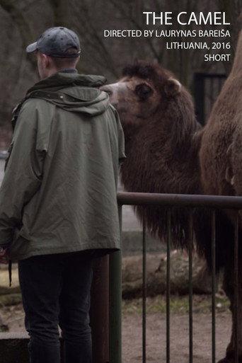 The Camel (2016) poster