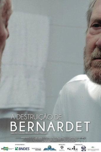 The Destruction of Bernardet (2016) poster