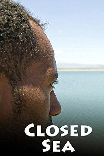 Mare chiuso (2012) poster