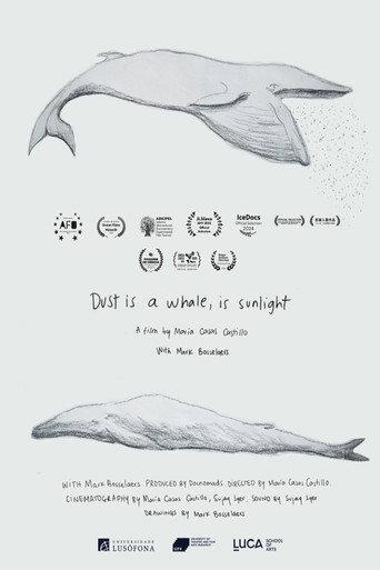 Dust is a Whale, is Sunlight (2023) poster