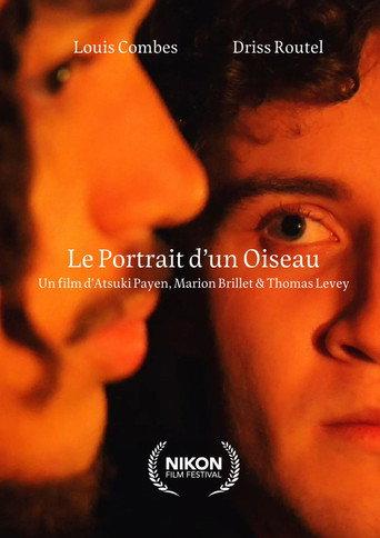 The Portrait of a Bird (2026) poster