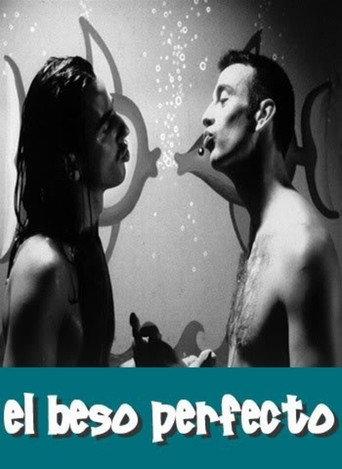 The Perfect Kiss (1995) poster