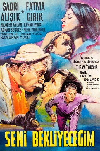 Seni Bekleyeceğim (1966) poster