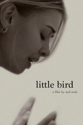 Little Bird () poster