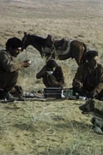 Shepherd's Friend (1972) poster