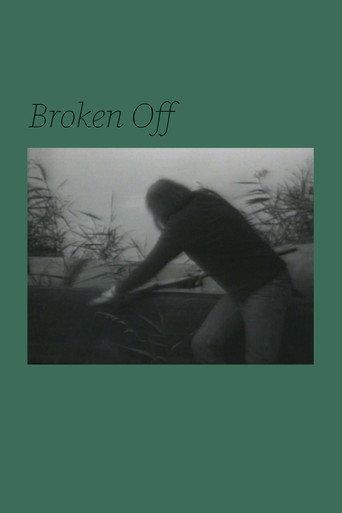 Broken Off () poster