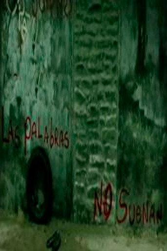 Las palabras no suenan (2007) poster
