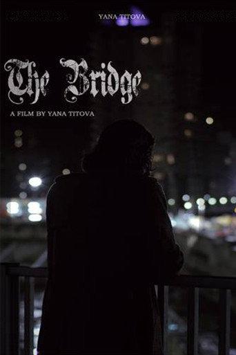 The Bridge (2014) poster