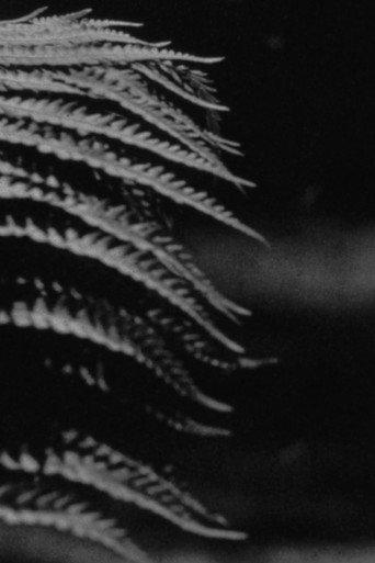 emergence (2024) poster