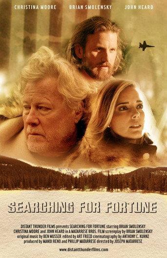 Searching for Fortune (2017) poster