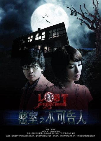 Lost in Panic Room (2010) poster