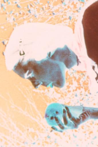 Kodachrome Love Poem (1995) poster