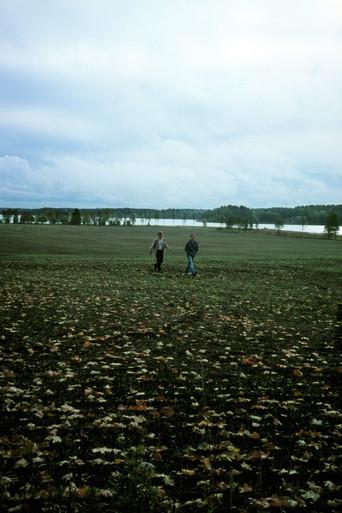 Small Game (2009) poster