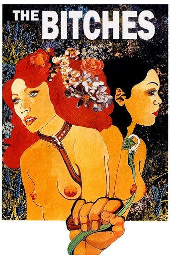 The Bitches (1973) poster