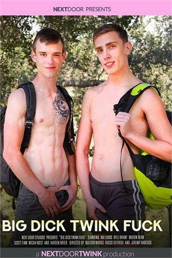 Big Dick Twink Fuck (2022) poster