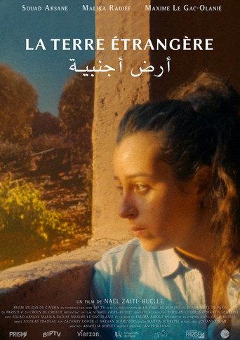 The foreign land () poster