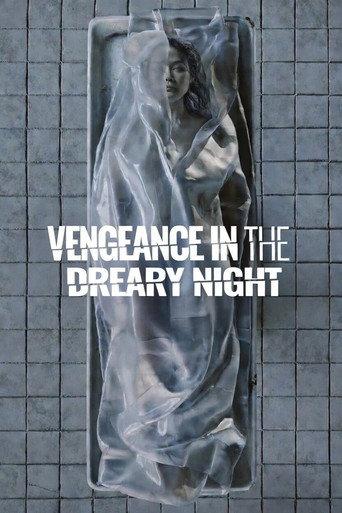Vengeance in the Dreary Night (2025) poster