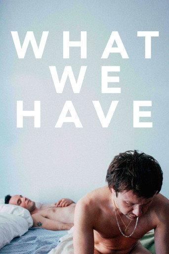What We Have (2014) poster