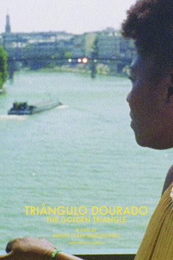 The Golden Triangle (2014) poster