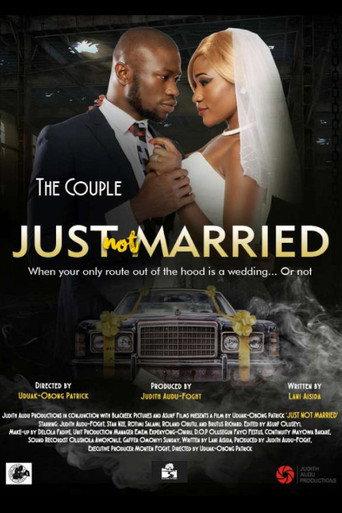 Just Not Married (2016) poster